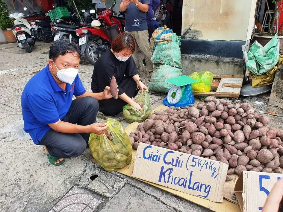 Đẩy mạnh tiêu thụ khoai lang cho nông dân với giá 3.000 - 5.000 đồng/kg ảnh 4