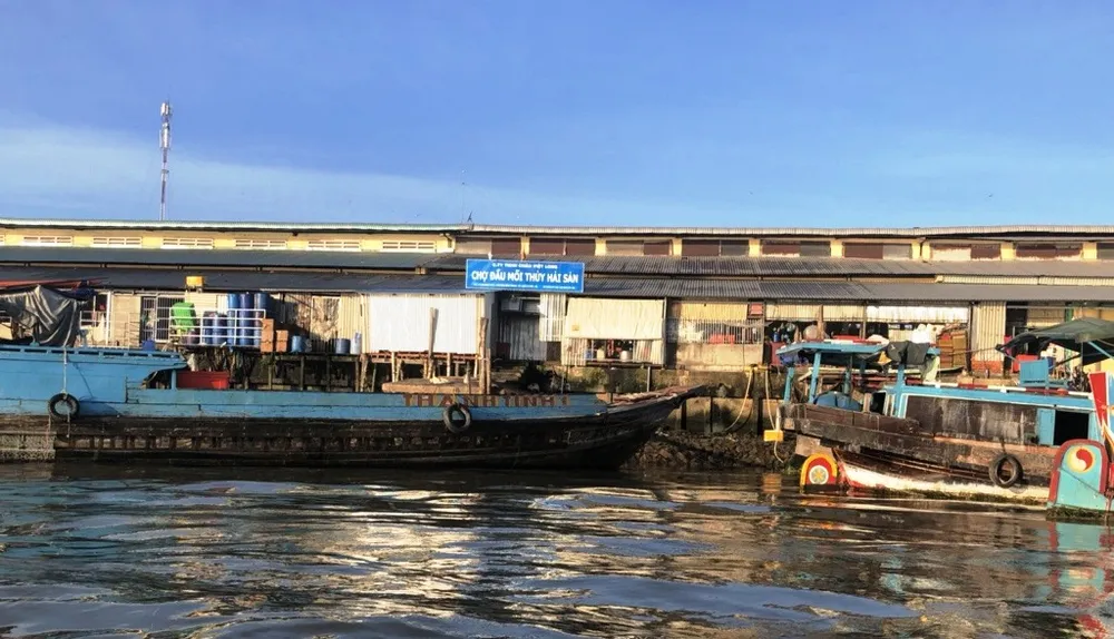 Bị phạt 370 triệu đồng vì xả thải trái phép tại chợ đầu mối thủy hải sản ảnh 1