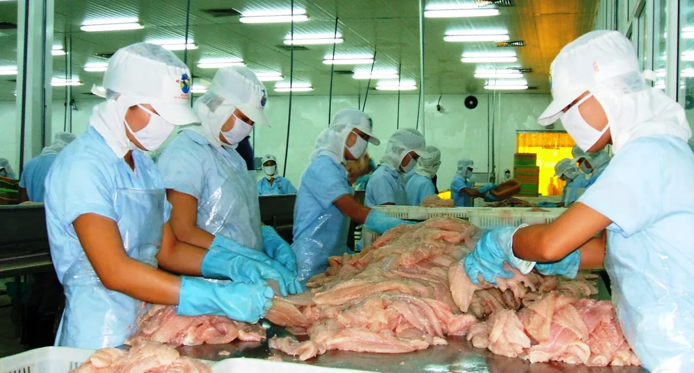 Xuất khẩu cá tra giảm mạnh trong tháng 8 và tháng 9 ảnh 1