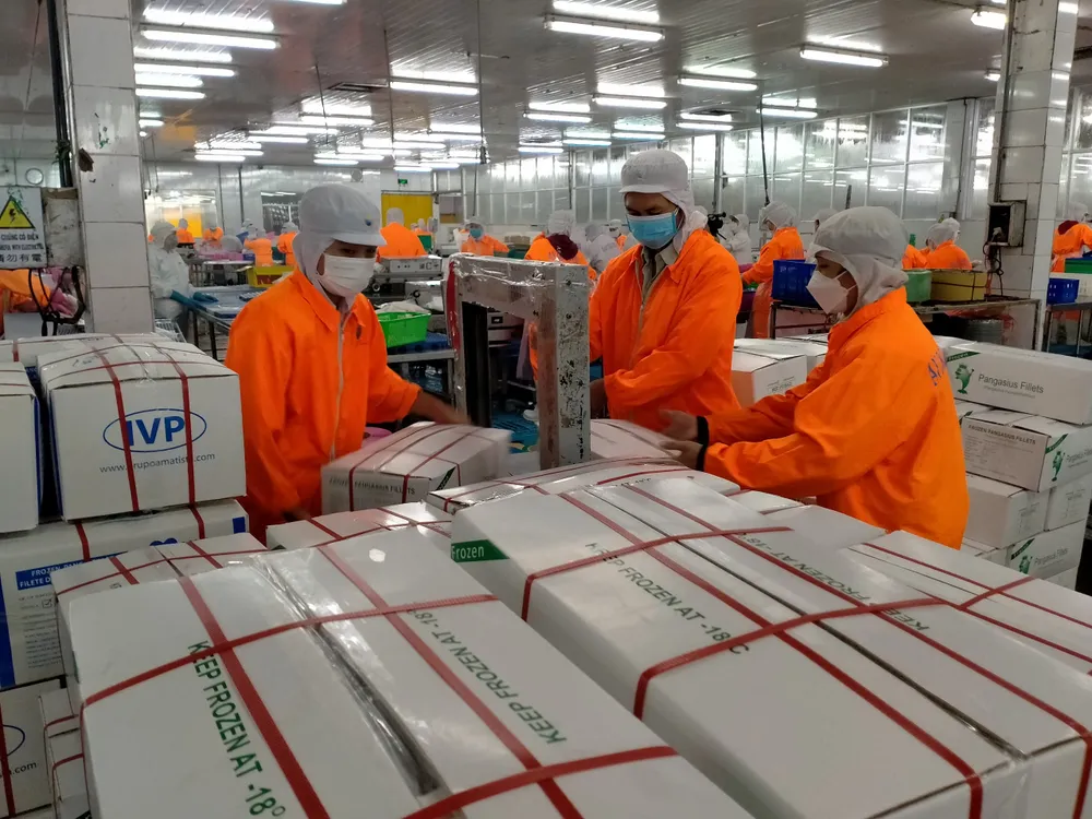 Tăng tốc xuất khẩu cá tra ngay đầu năm 2022 ảnh 2