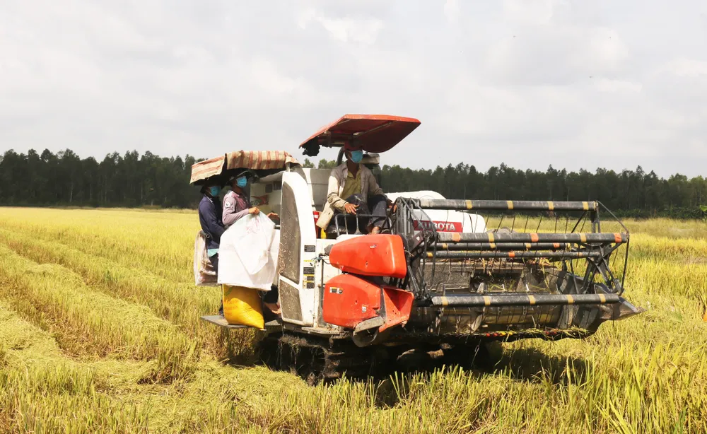 Thúc đẩy liên kết phát triển bền vững vùng ĐBSCL ảnh 4