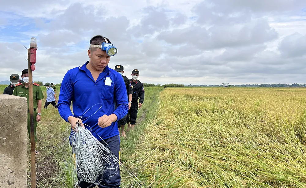 An Giang: Dùng điện bẫy chuột gây chết người ảnh 1