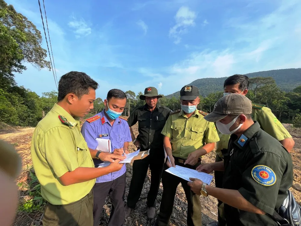 Phát hiện nhóm người dùng xe cơ giới phá rừng ở Phú Quốc ảnh 2