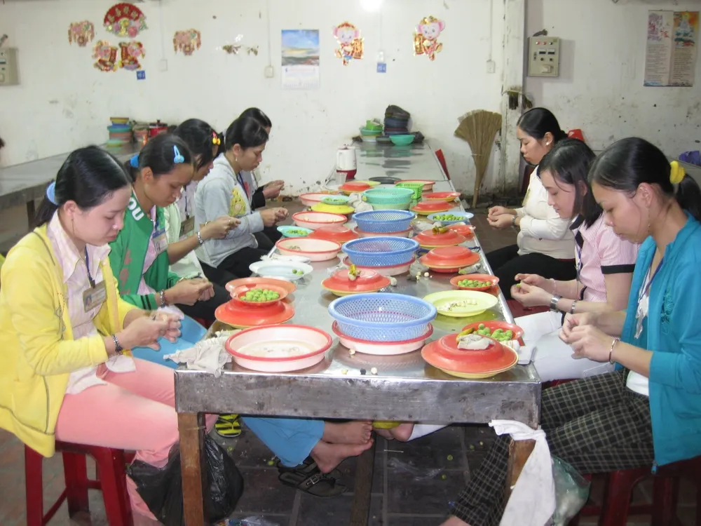 Đồng Tháp liên kết nâng cao chuỗi giá trị cây sen ảnh 3