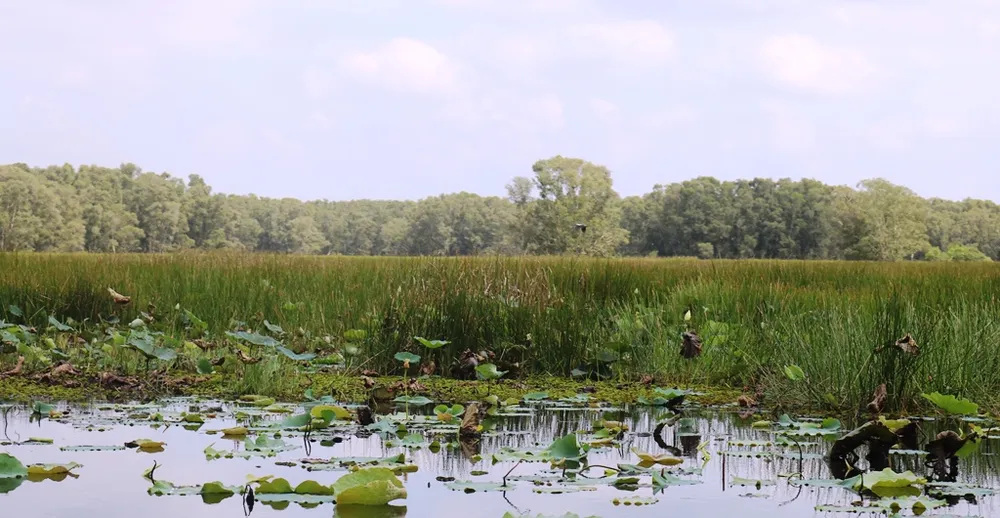 Một doanh nghiệp đề xuất làm cụm công nghiệp gần Vườn quốc gia Tràm Chim ảnh 1