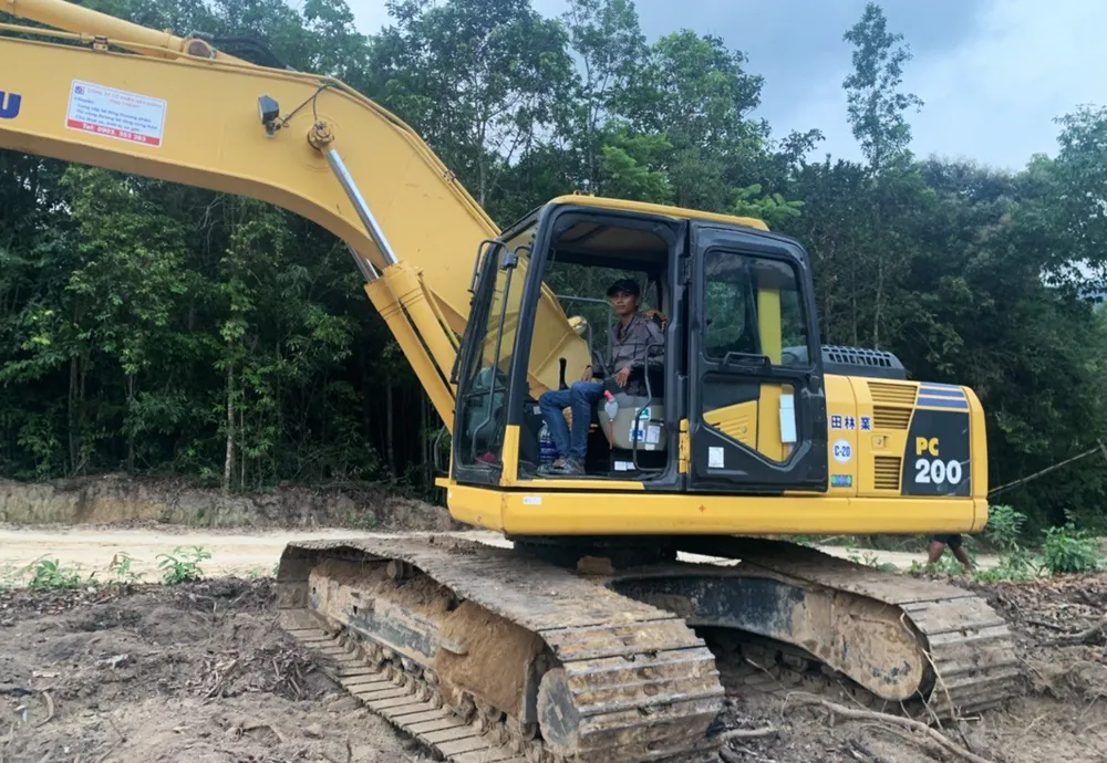 Khởi tố hình sự 4 vụ, 7 bị can chặt phá rừng ở Phú Quốc ảnh 3