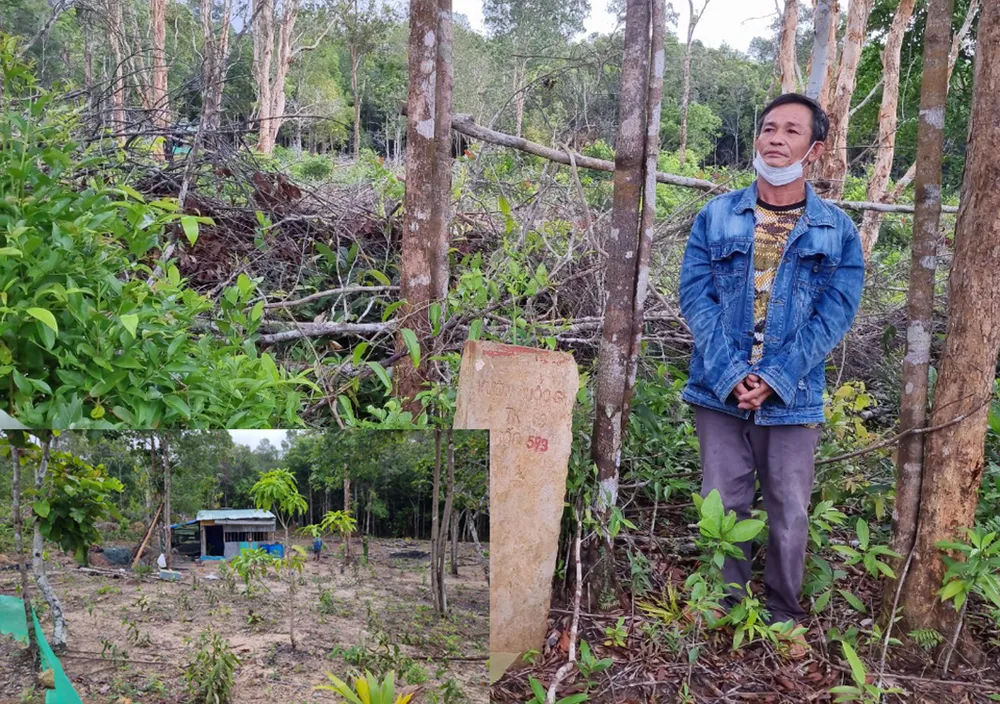 Khởi tố hình sự 4 vụ, 7 bị can chặt phá rừng ở Phú Quốc ảnh 2