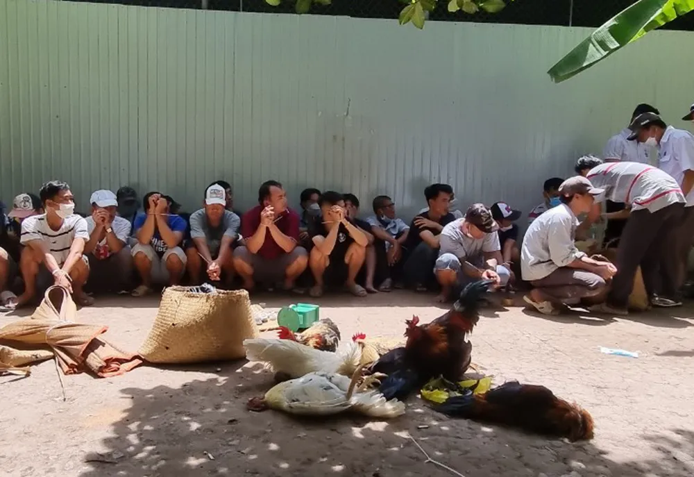 Kiên Giang: Đột kích sới bạc, tạm giữ 27 đối tượng ảnh 1