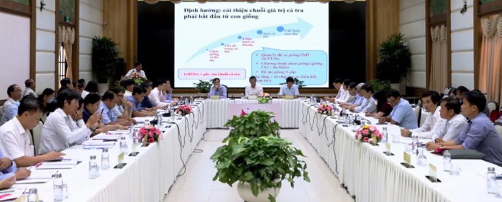 Thúc đẩy sản xuất và kiểm soát chất lượng giống cá tra ở ĐBSCL ảnh 1