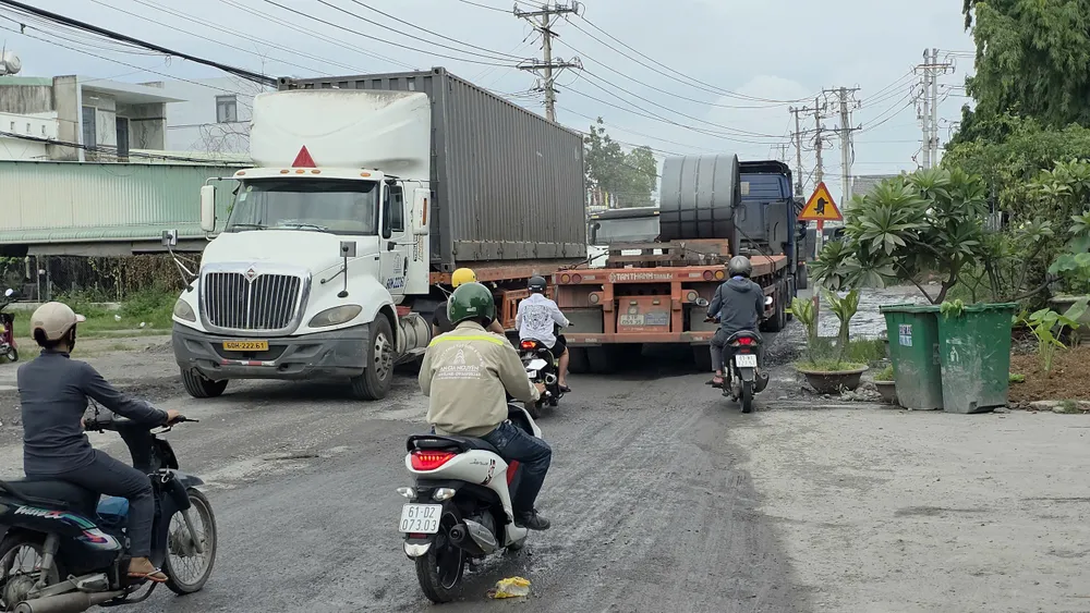 duong_trinh_hoai_duc2.jpg