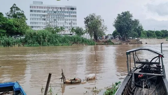 Đại tá Đinh Văn Nơi: Có ít nhất 4 đường dây tổ chức cho người xuất nhập cảnh trái phép qua biên giới ảnh 1