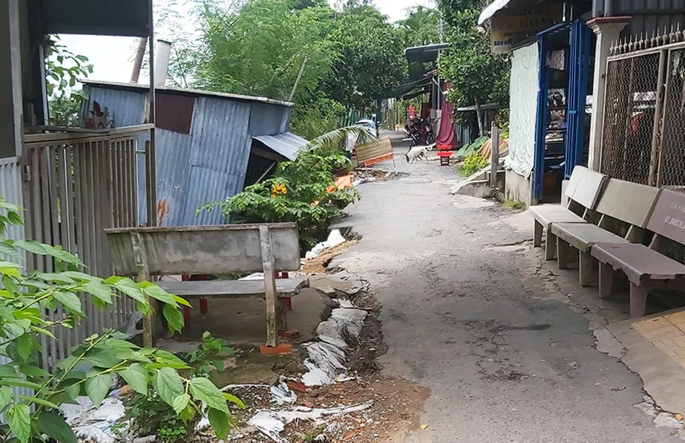 Một điểm sạt lở tại huyện Châu Phú (tỉnh An Giang). Ảnh: CTV