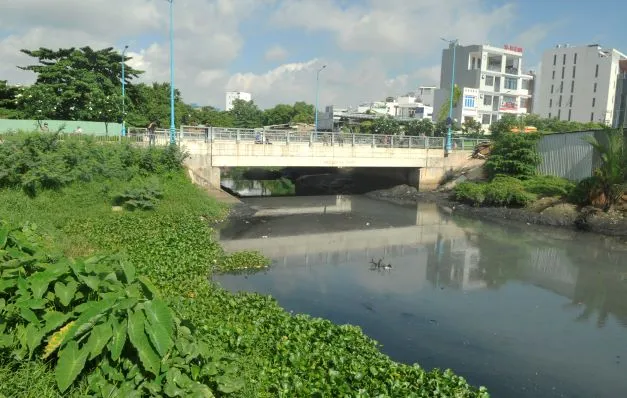 Chủ tịch UBND TPHCM Nguyễn Thành Phong chỉ đạo: Khẩn trương triển khai dự án rạch Xuyên Tâm  ​ ảnh 1