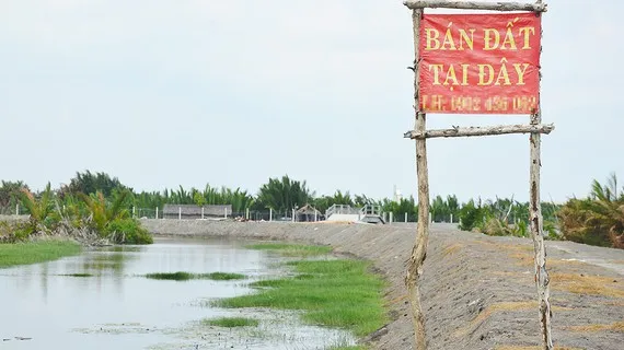 Kiểm tra xử lý “cò” thổi giá đất ảnh 1