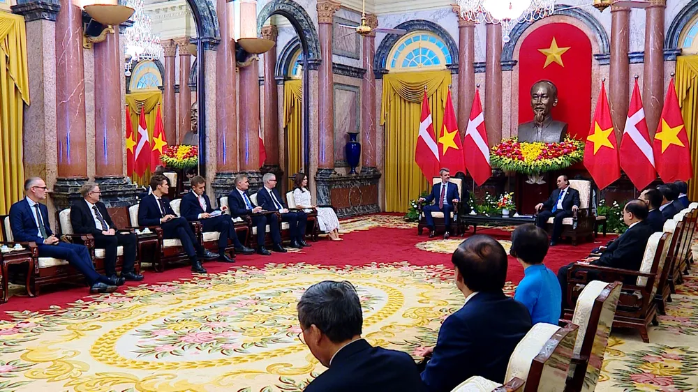 Chủ tịch nước Nguyễn Xuân Phúc tiếp Thái tử kế vị Đan Mạch Frederik ảnh 5