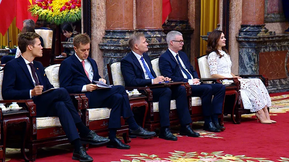 Chủ tịch nước Nguyễn Xuân Phúc tiếp Thái tử kế vị Đan Mạch Frederik ảnh 4