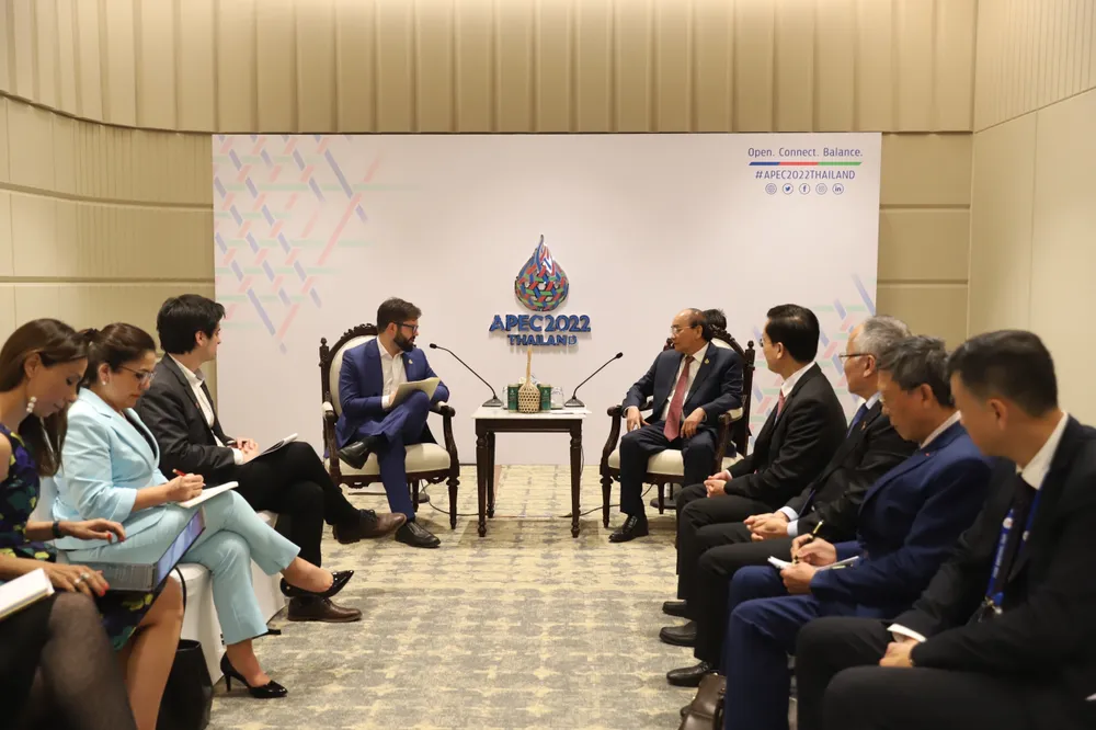  Châu Á - Thái Bình Dương hòa bình, phát triển bền vững,  thịnh vượng cho mọi người dân. ảnh 1