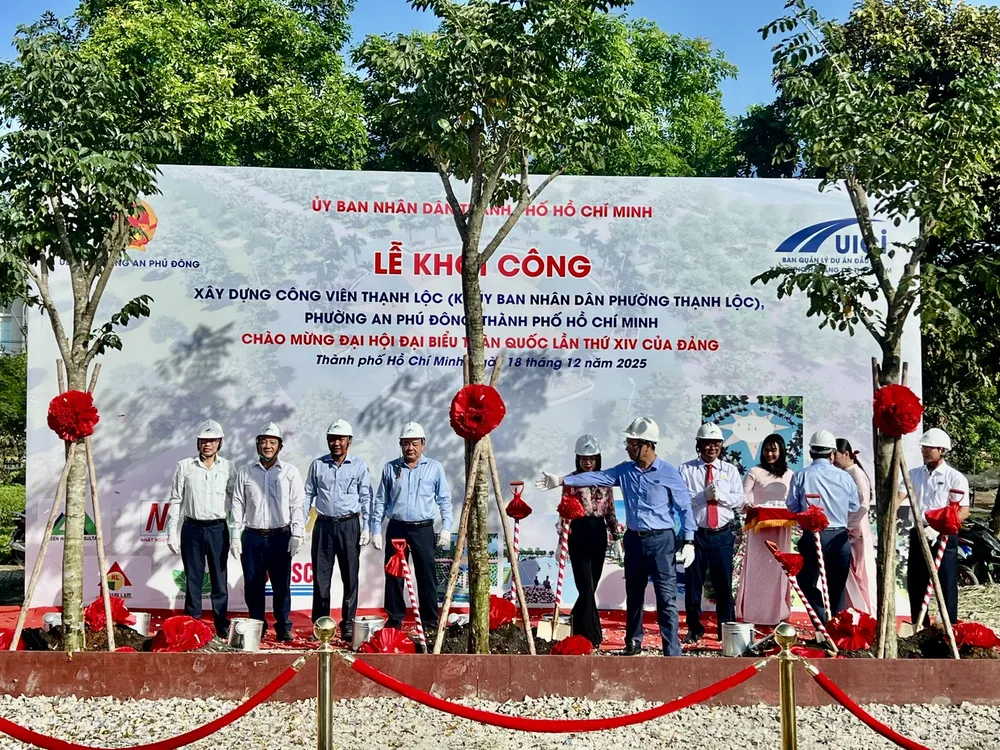 Cây được trồng tại công viên có chiều cao từ 7m trở lên nhằm đảm bảo sự phát triển của cây vì độ phèn của đất ở khu vực này rất cao. Ảnh: QUỐC HÙNG