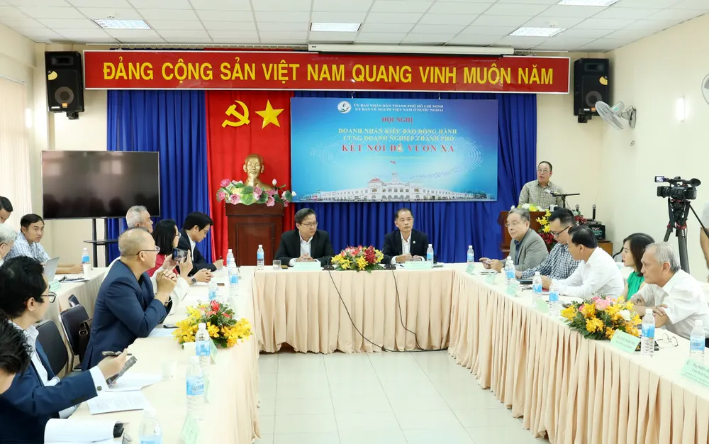 Phát huy vai trò doanh nhân kiều bào trong xây dựng, phát triển TPHCM ảnh 1