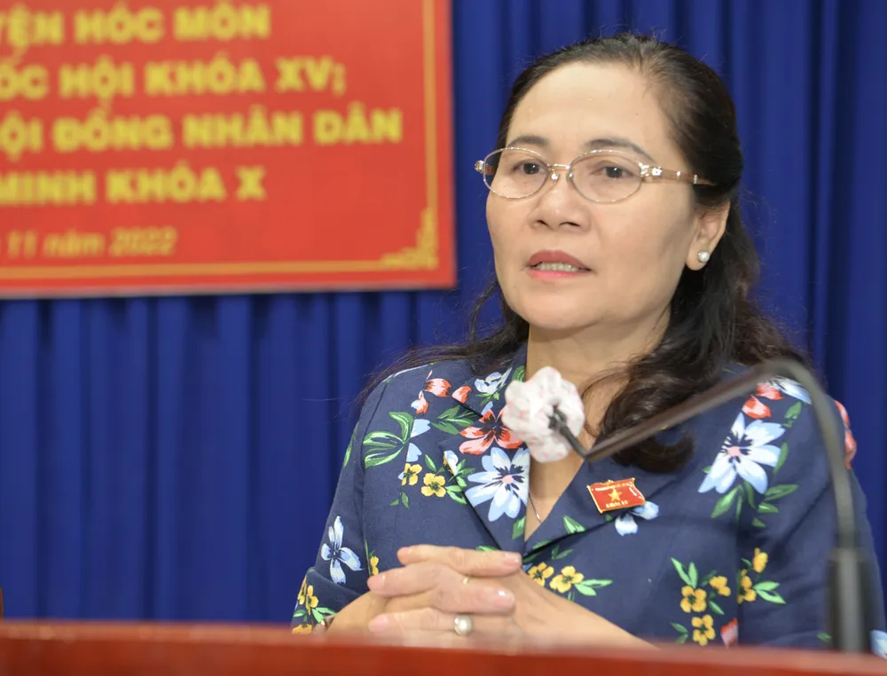 Chủ tịch HĐND TPHCM Nguyễn Thị Lệ: Muốn thu hút nhà đầu tư thì phải có đất trống, đất sạch ảnh 4