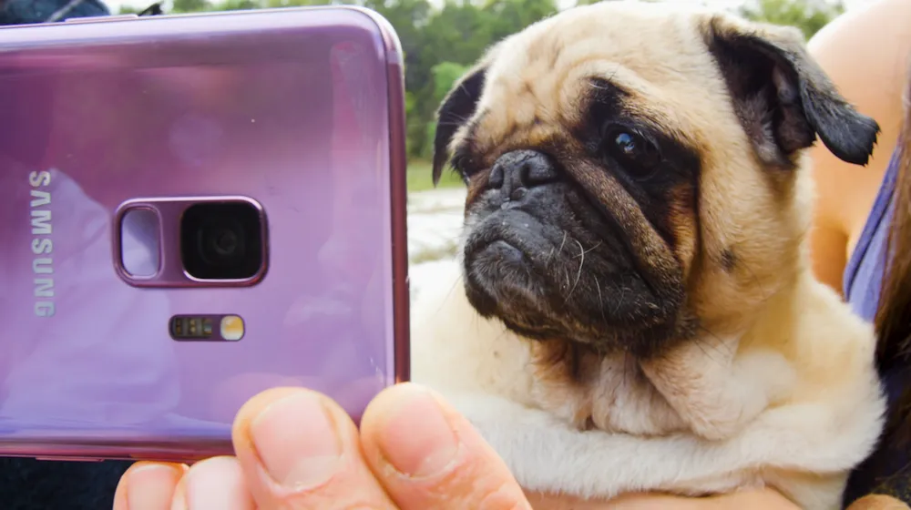 Samsung hợp tác cùng BuzzFeed và The Dodo để thêm “sức mạnh” cho quay siêu chậm trên Galaxy S9|S9+ ảnh 1