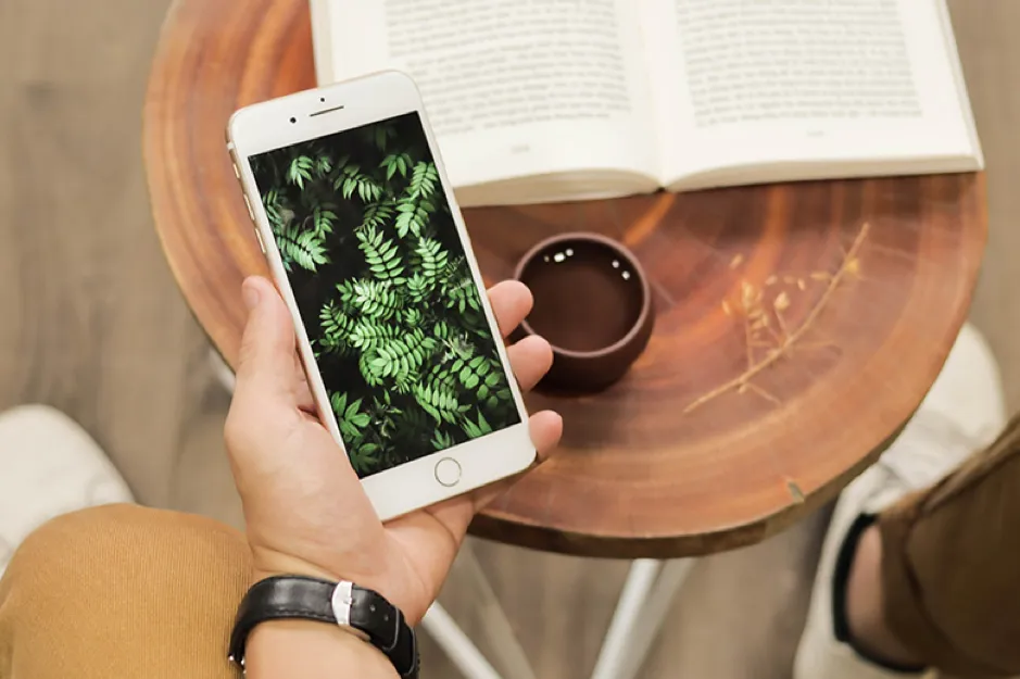 iPhone 7 Plus, 8 Plus và iPhone X hút khách ở phân khúc giá từ 10 triệu ảnh 1