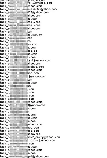 5 triệu email, số thẻ tín dụng bị lộ từ đâu? ảnh 1