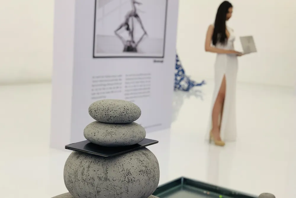 Ấn tượng với vẻ đẹp Zen, sức mạnh Zen và  trải nghiệm Zen ảnh 3