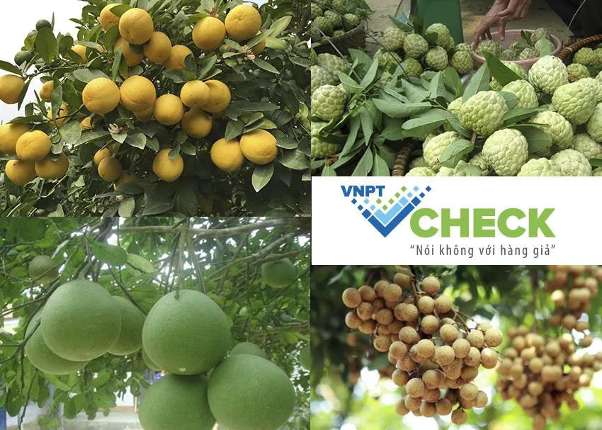 VNPT đoạt Giải Vàng và Giải Bạc của Stevie Awards 2019 ảnh 1