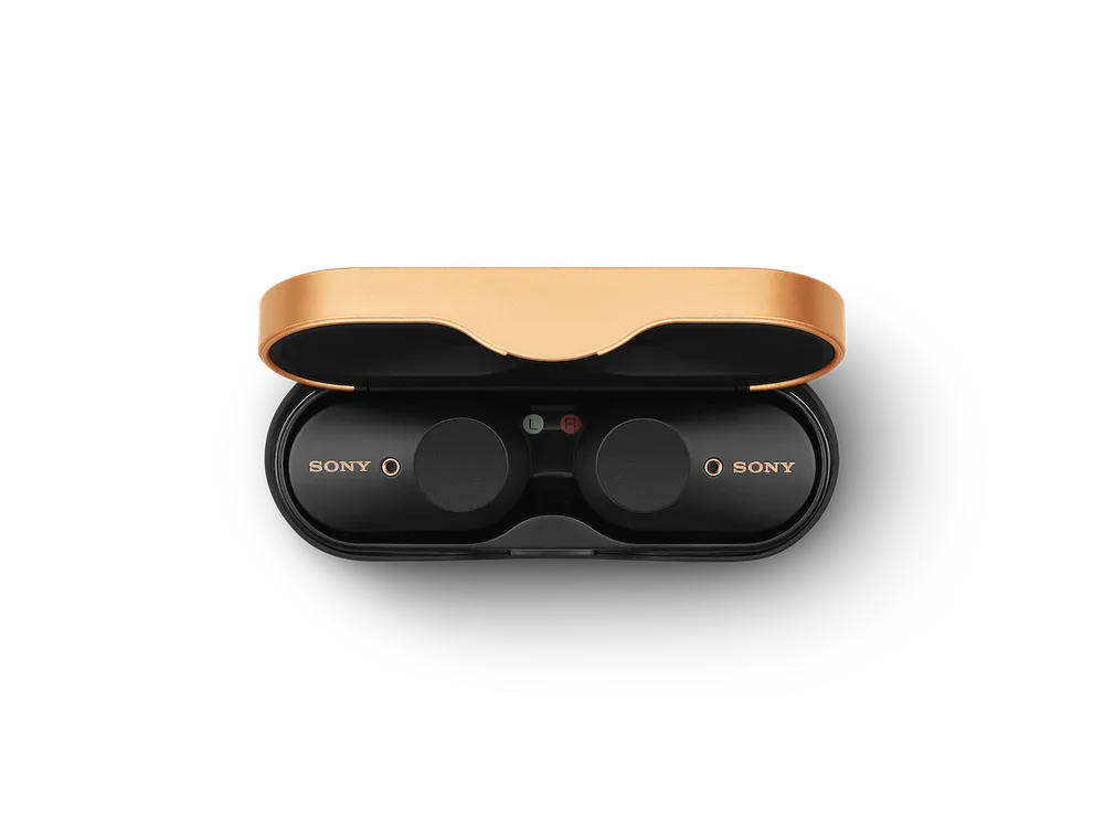 Chính thức cho đặt hàng tai nghe không dây chống ồn WF-1000XM3  ảnh 1