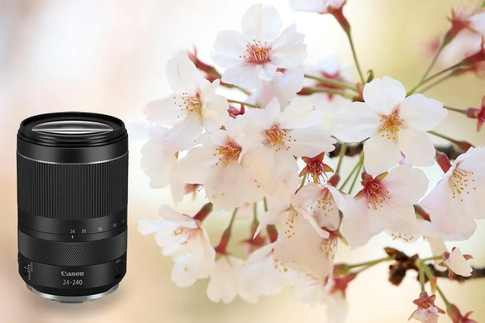 Canon ra mắt ống kính mới RF24-240mm f/4-6.3 IS USM ảnh 6