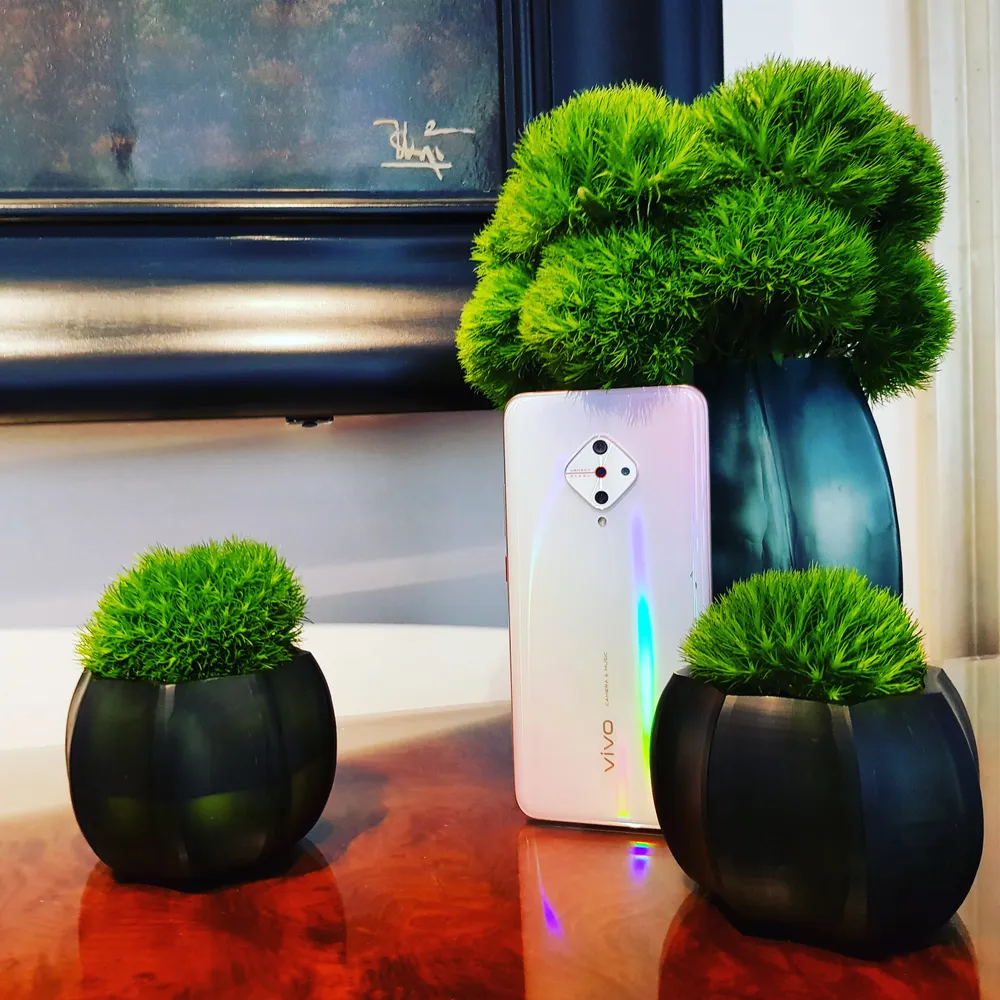 Vivo S1 Pro có mức giá chính thức 6,49 triệu đồng tại thị trường Việt Nam  ảnh 1