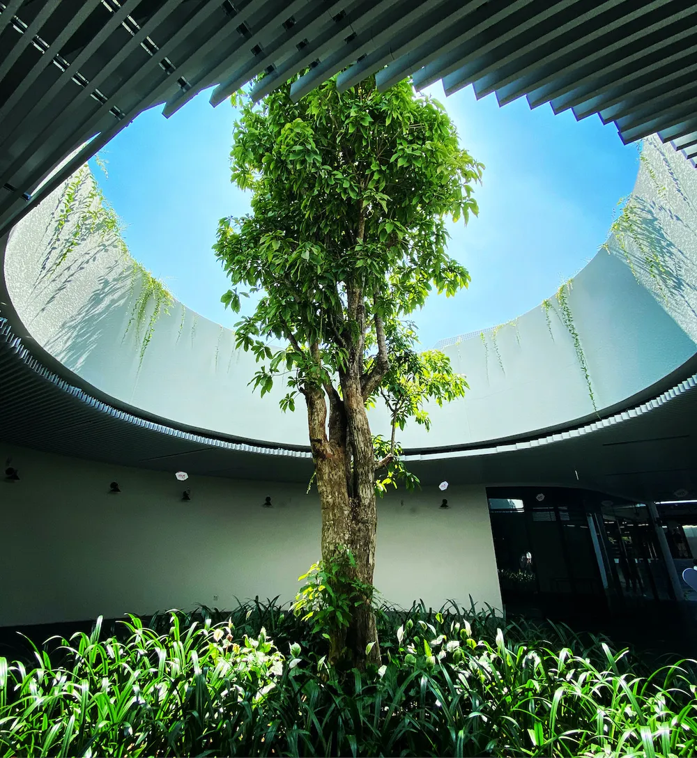 VNG tập trung vào Game và Cloud ảnh 3