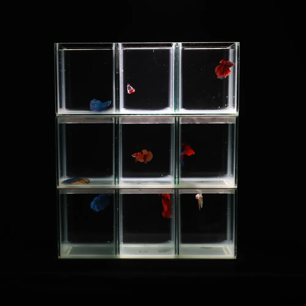 Tác giả Suda Takuya thắng Giải Đặc biệt cuộc thi Canon PhotoMarathon 2020 ảnh 1