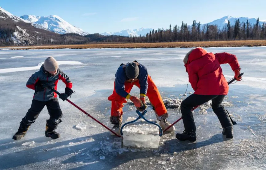 Epson hợp tác cùng National Geographic ra mắt chiến dịch “Turn Down the Heat”   ảnh 1