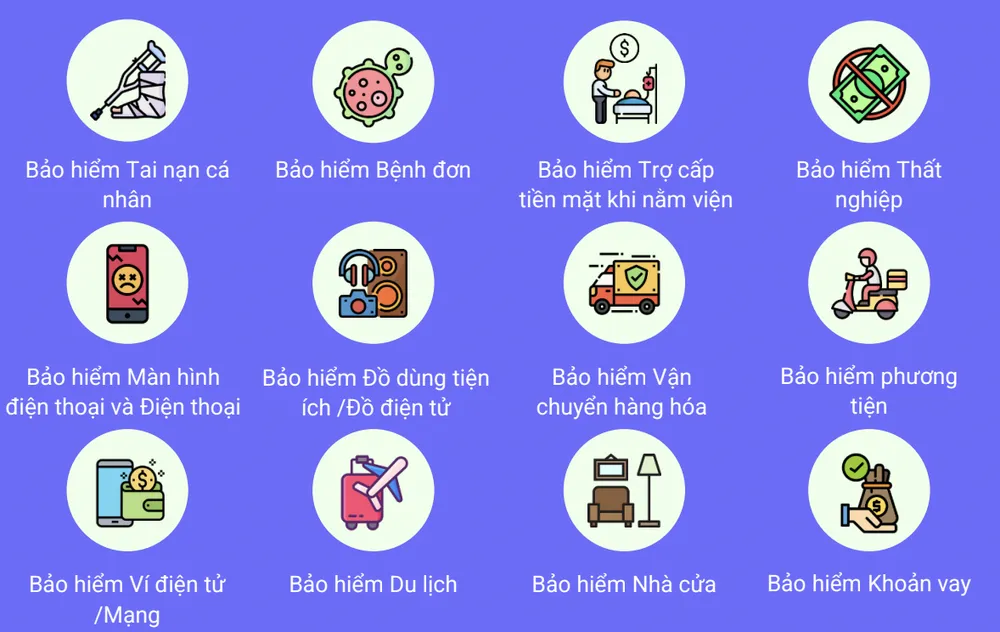 Igloo góp phần đưa dịch vụ bảo hiểm giá phải chăng, dễ tiếp cận hơn tới người tiêu dùng ảnh 2