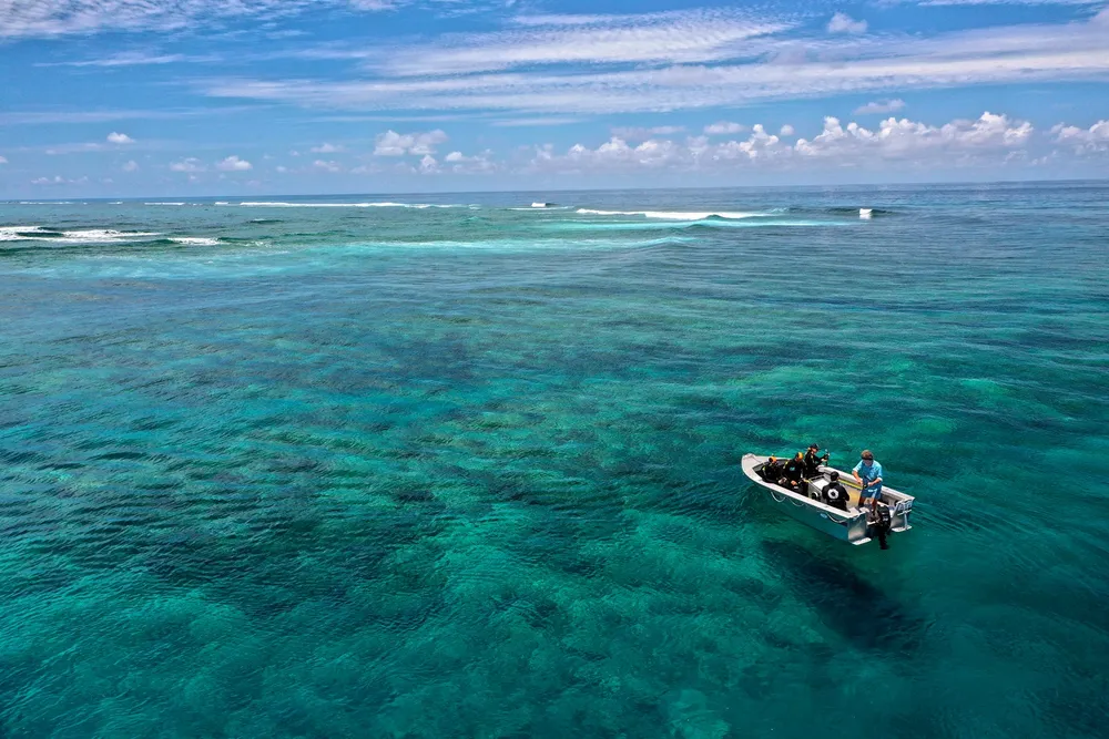 Công nghệ học sâu của Dell Technologies hỗ trợ bảo vệ Rạn san hô Bờ Đá Lớn ảnh 1