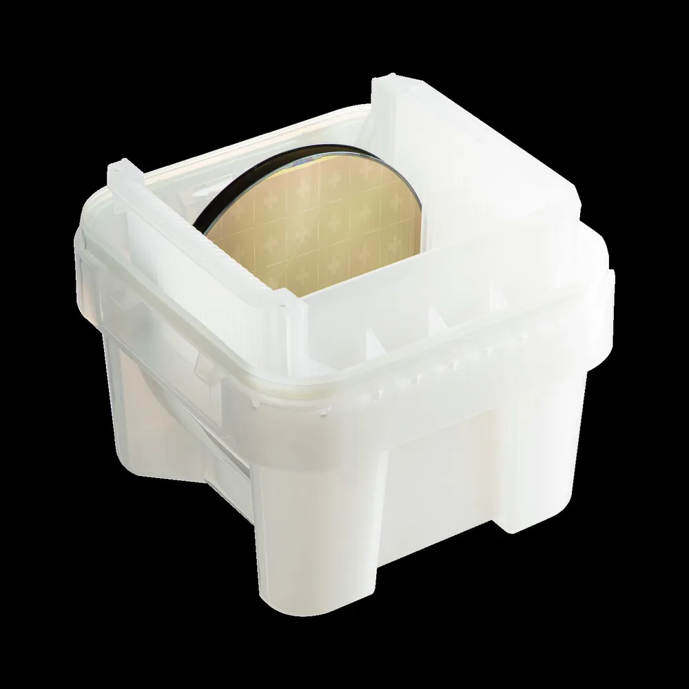 FPT Software ra mắt chip vi mạch đầu tiên ảnh 1