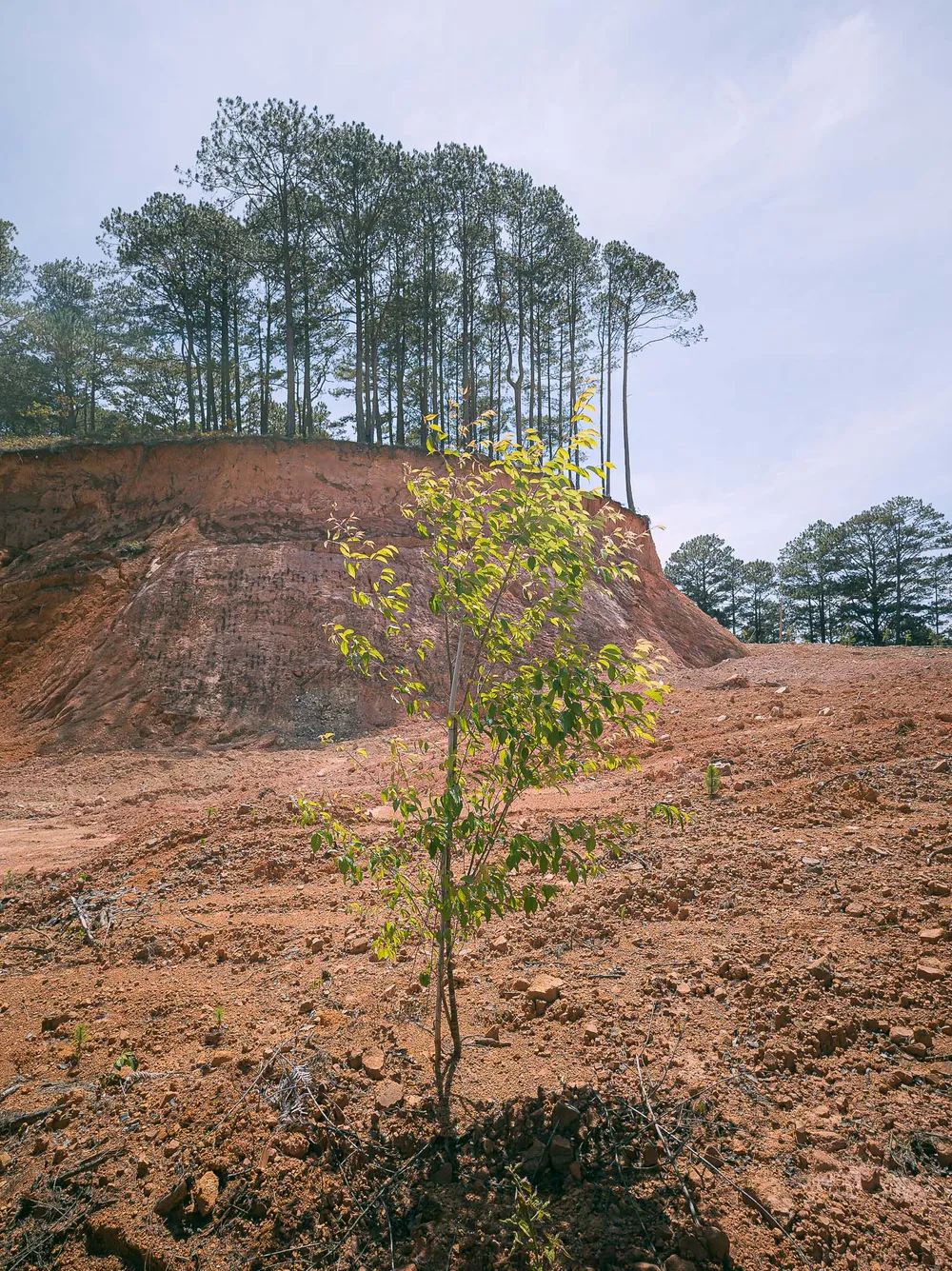 Một khúc đồi vừa bị cào bới