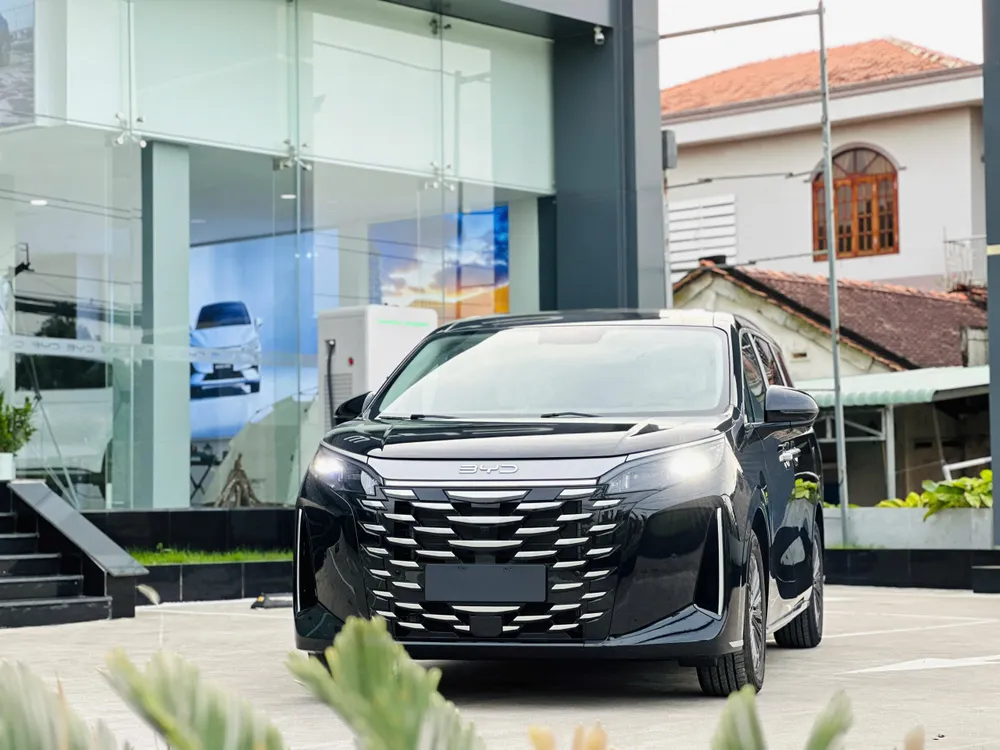 BYD M9_3.jpg