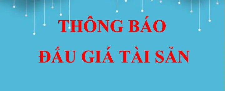 THÔNG BÁO ĐẤU GIÁ TÀI SẢN
