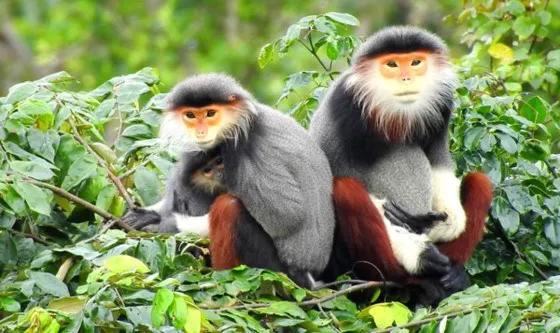 Bộ đề nghị xử lý ông Vinh vì phát ngôn về Sơn Trà ảnh 1