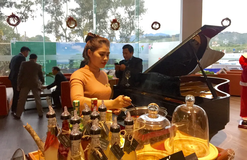 Hợp tác đào tạo nguồn nhân lực du lịch chất lượng cao ảnh 1