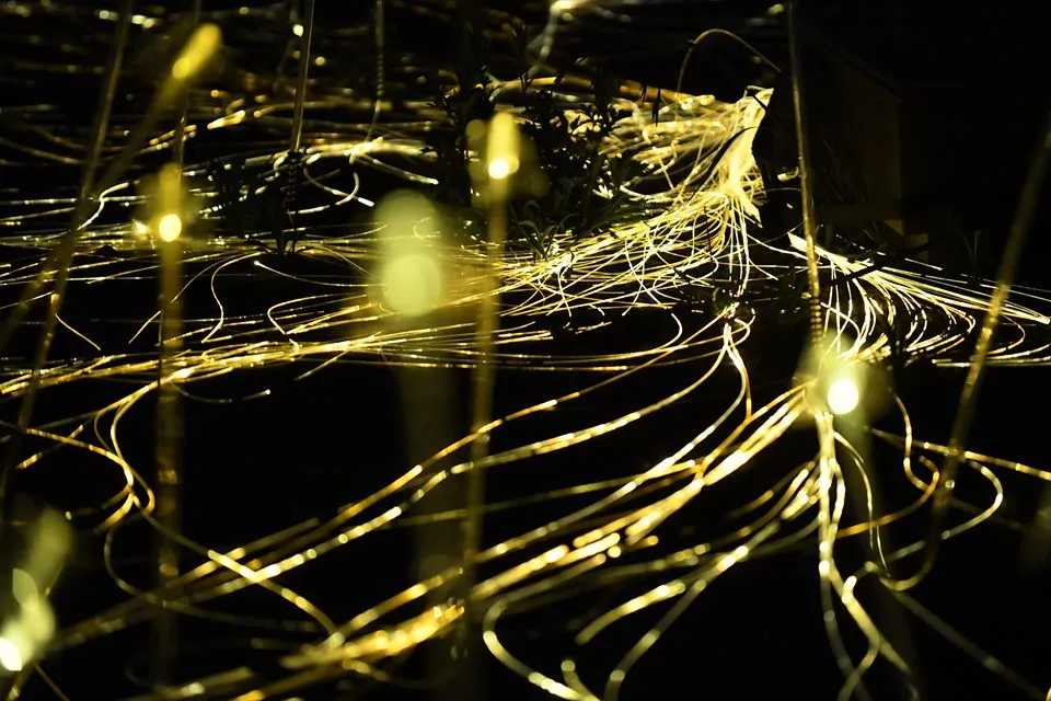 Ngỡ ngàng lễ hội ánh sáng ở Jeju - đảo tình yêu ảnh 6