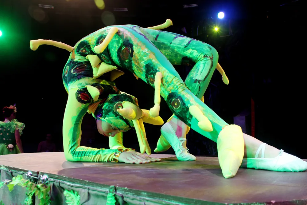 Xiếc Việt nỗ lực trong hành trình đến với khán giả ảnh 1