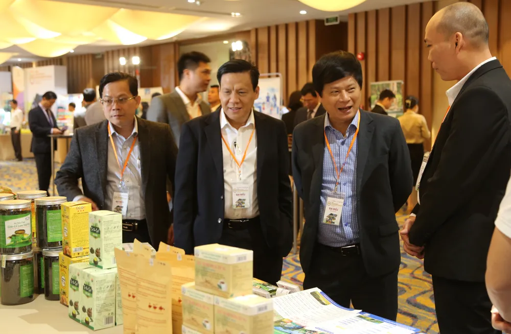 Cơ hội vàng để phục hồi và phát triển ngành công nghiệp không khói ảnh 4