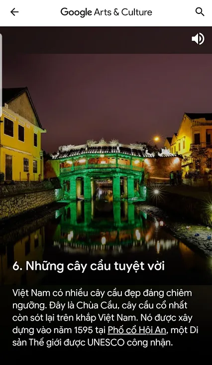 Google Arts & Culture tôn vinh kỳ quan Việt Nam  ảnh 4