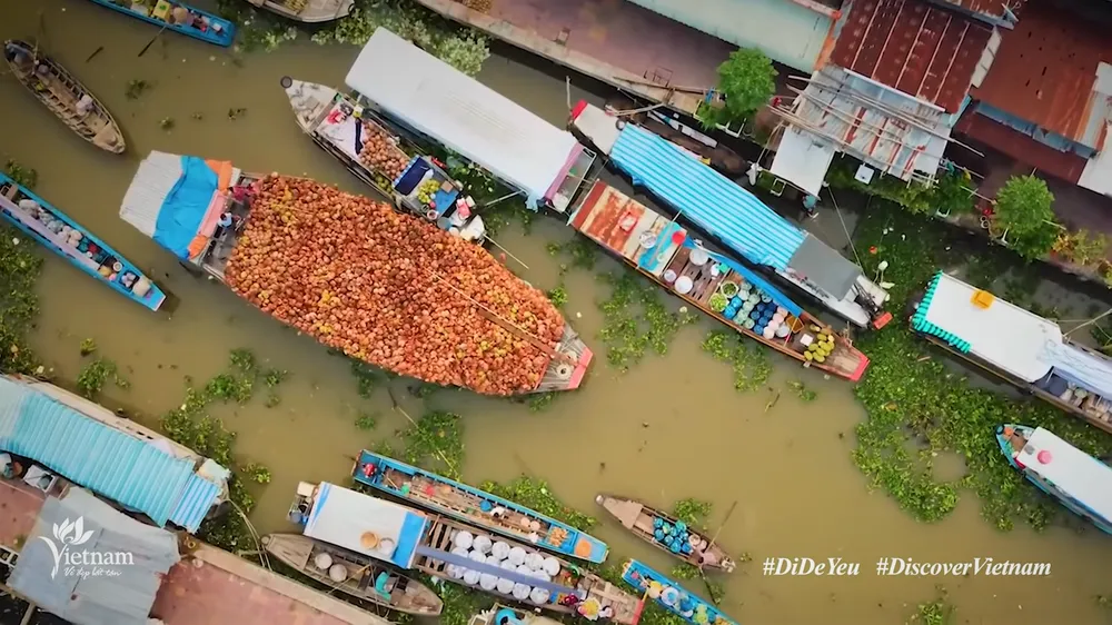 Đẹp ngỡ ngàng với những khung hình "Việt Nam đi để yêu" ảnh 2