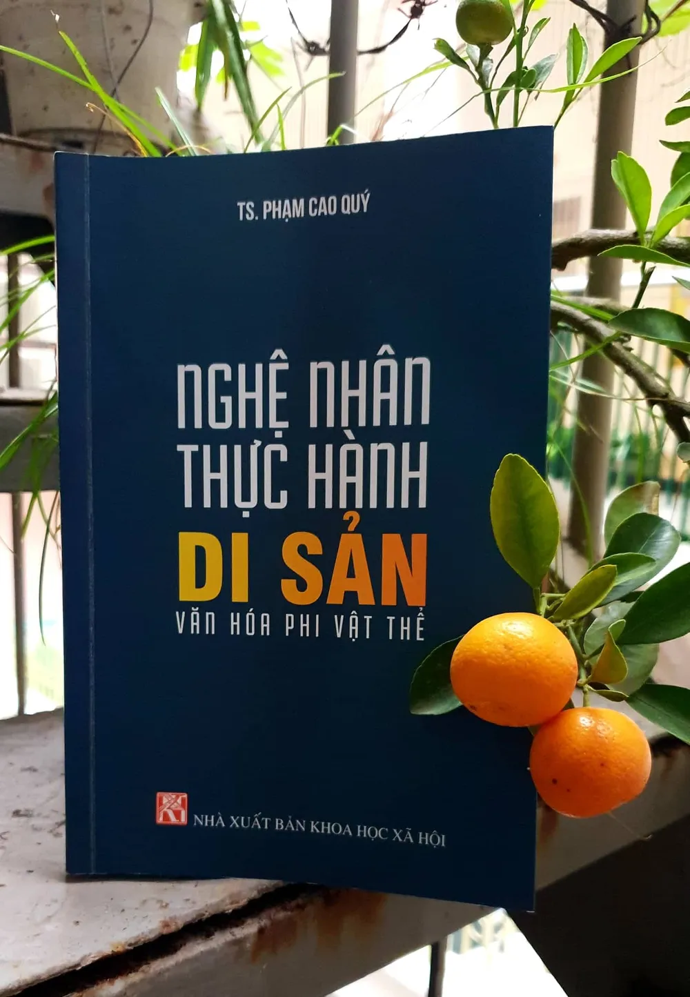 Nhận diện và tri ân “báu vật nhân văn sống” ảnh 1