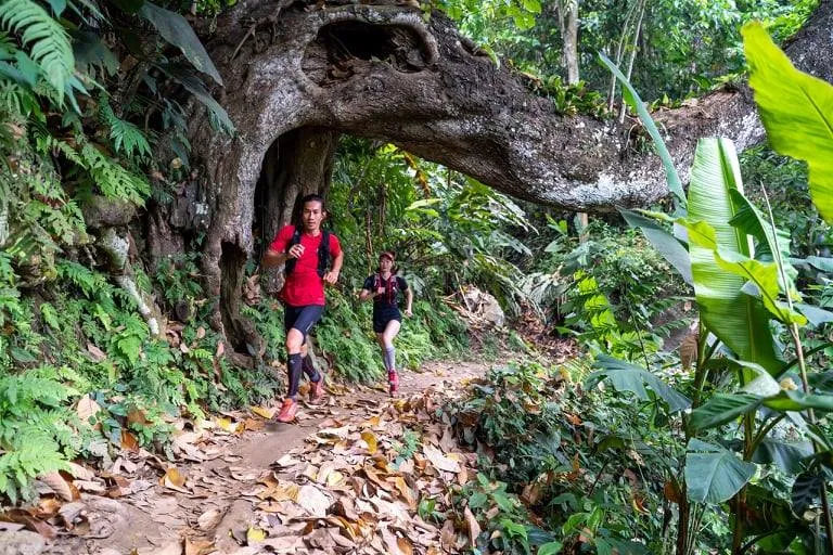 Khám phá cung đường huyền ảo của Ba Bể Jungle Marathon ảnh 4